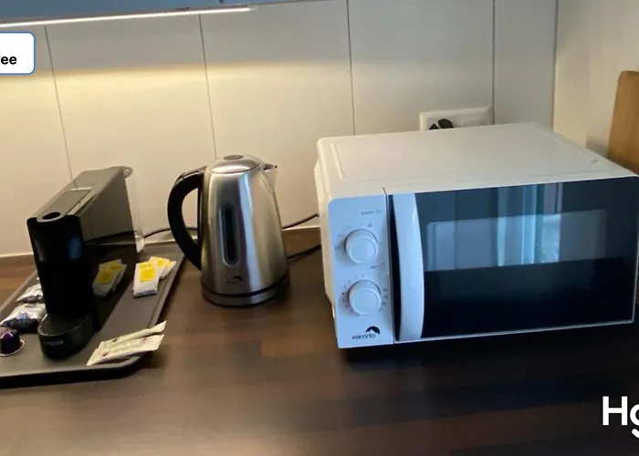 Apartment H3 With 3,5 Rooms, 2 Bedroom Livingroom And Big Kitchen, Modern And Zürich